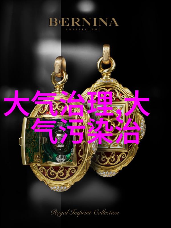 许仁安任重庆市生态环境局党组