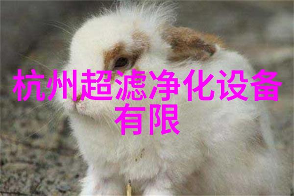 螺旋式砂水分离器
