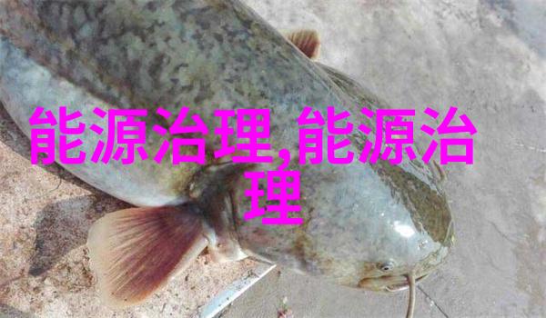中国光伏行业协会上调今年装机预测