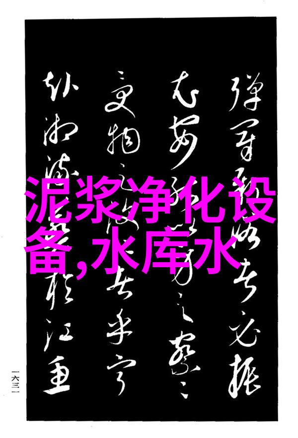 无顶压逆流再生阳阴离子交换器