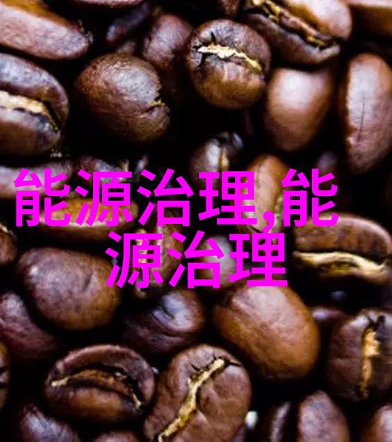 安徽省定远县开展生物质锅炉专项督查行动